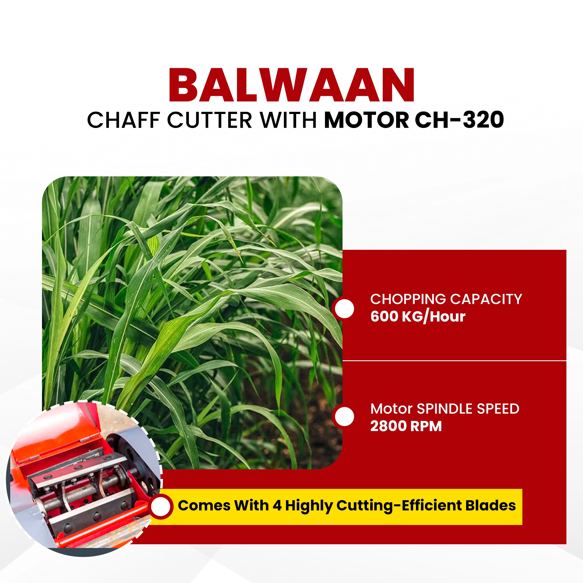 Balwaan-chaff-cutter-with-gear-motor & conveyor-belt-ch-320-4